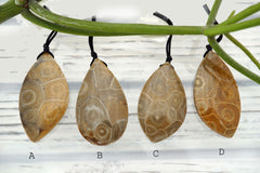 Petoskey Stone freeform pendants (ETP00290)