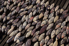 Porcelain Jasper 8-14mm marquise beads (ETB00649)