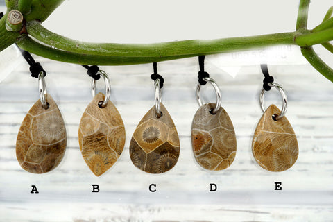 Petoskey Stone freeform pendants (ETP00293)