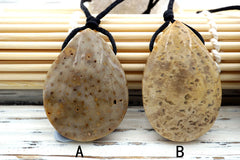 Petrified Palm Wood / Fossilized Palm Wood Teardrop pendant (ETP00113)
