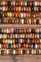 Petrified Rainbow Wood 9.5-10.5mm from Arizona rondelle beads (ETB00907)