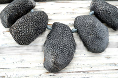 Natural Bryozoan Coral freeform beads (ETB01194)