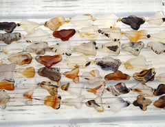 Montana Moss Agate freeform beads (ETB00994)