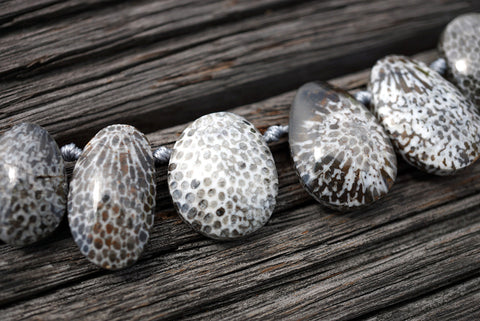 (SPL00001) Fossilised Bryozoan Coral freeform beads top side drilled