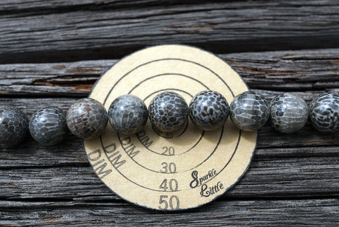 (SPL00003) Fossilised Bryozoan Coral round beads