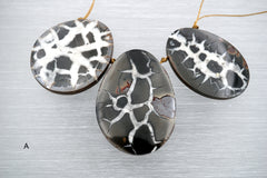 Natural Septarian Nodule Fossils freeform pendant (ETP00302)