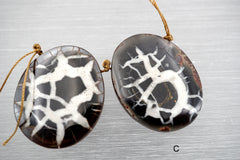 Natural Septarian Nodule Fossils freeform pendant (ETP00302)