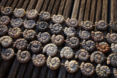Matte Picasso Jasper from Utah 20-22mm spiral/ snail beads (ETB00300)