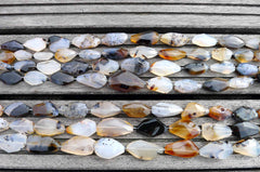 Montana Moss Agate 12-15mm faceted beads (ETB00424)