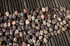 Porcelain Jasper 13-21mm freeform beads (ETB00650)