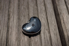 Rare and elegant Mexican Psilomelane heart shape pendant with silver (ETP00229)