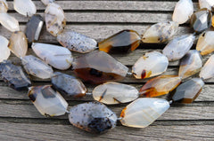 Montana Moss Agate 12-15mm faceted beads (ETB00424)