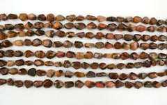 Autumn Jasper 12.5-16mm faceted beads (ETB01278)