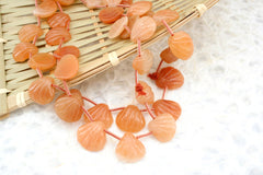 Peach Aventurine 15-17.5mm shell shape beads (ETB01307)