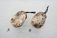 Petrified Palm Wood / Fossilized Palm Wood freeform pendant (ETP00316)