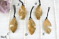 Petoskey Stone freeform pendants (ETP00315)