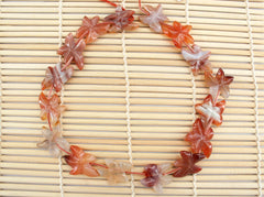 Carnelian 19.5-24mm starfish shape beads (ETB01299)
