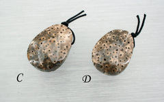 Petrified Palm Wood / Fossilized Palm Wood freeform pendant (ETP00316)
