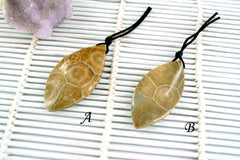 Petoskey Stone freeform pendants (ETP00315)