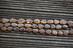 Rare Boulder Opal 21-29mm freeform beads (ETB00575)