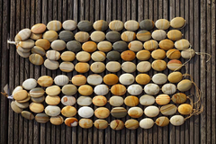Owyhee Sunset Jasper 23-27mm Oval beads (ETB00589)