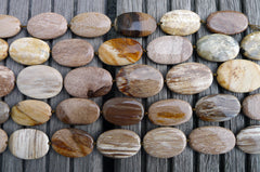 (SPL00029) Petrified Wood medium oval flat beads
