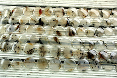 Montana Moss Agate 22.5-31mm round disc beads (ETB00831)