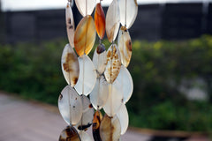 Montana Moss Agate 17-23mm marquise beads (ETB00426)