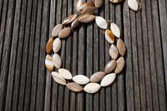 Petrified Wood 14-20mm marquise beads (ETB00527)