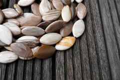 Petrified Wood 15-18mm marquise beads (ETB00531)
