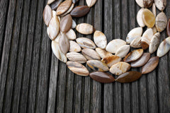 Petrified Wood 14-20mm marquise beads (ETB00527)