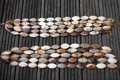 Petrified Wood 14-20mm marquise beads (ETB00527)
