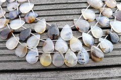 Montana Moss Agate 14-25mm teardrop beads (ETB00423)