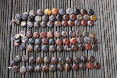 Pilbara 30-35mm round disc beads (ETB00508)