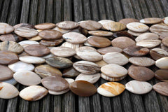Petrified Wood 15-18mm marquise beads (ETB00531)