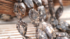 Turritella agate 15-21mm faceted beads (ETB00333)