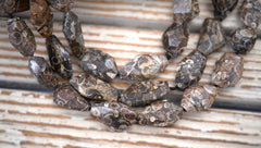 Turritella agate 15-21mm faceted beads (ETB00333)