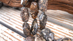 Turritella agate 15-21mm faceted beads (ETB00333)