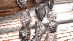 Turritella agate 15-21mm faceted beads (ETB00333)
