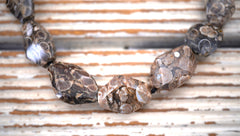 Turritella agate 15-21mm faceted beads (ETB00333)