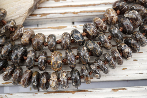 Turritella Agate 13-14.5mm rondelle beads (ETB00838)