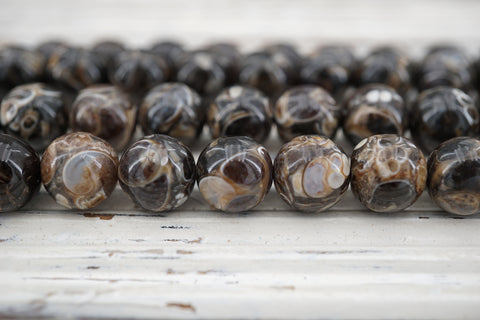 Turitella Agate round beads 9-10.5mm (ETB00942)