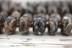 Turritella agate 12mm rondelle beads (ETB00338)