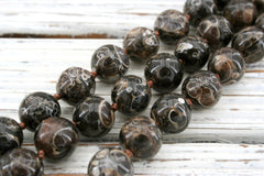 Turritella Agate round beads 12-12.5mm (ETB00912)