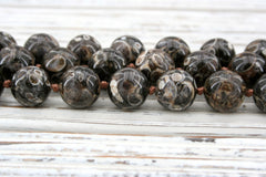 Turritella Agate round beads 12-12.5mm (ETB00912)