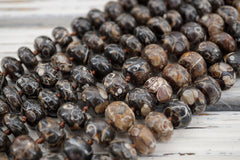 Turritella agate 12mm rondelle beads (ETB00338)