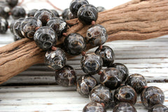Turritella Agate round beads 12-12.5mm (ETB00912)