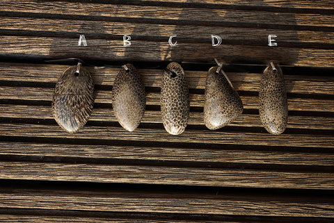 Rare Moroccan Fossilised Bryozoan Coral freeform pendants (ETP00221)