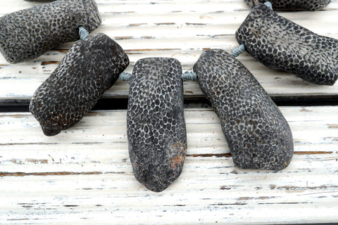 Natural Bryozoan Coral freeform beads (ETB01195)