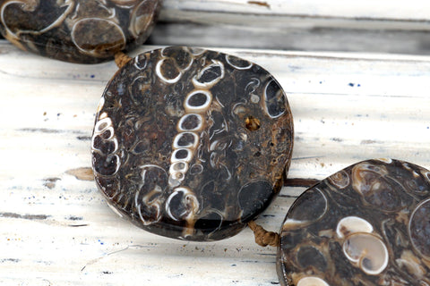 Turritella agate freeform beads (ETB00043)